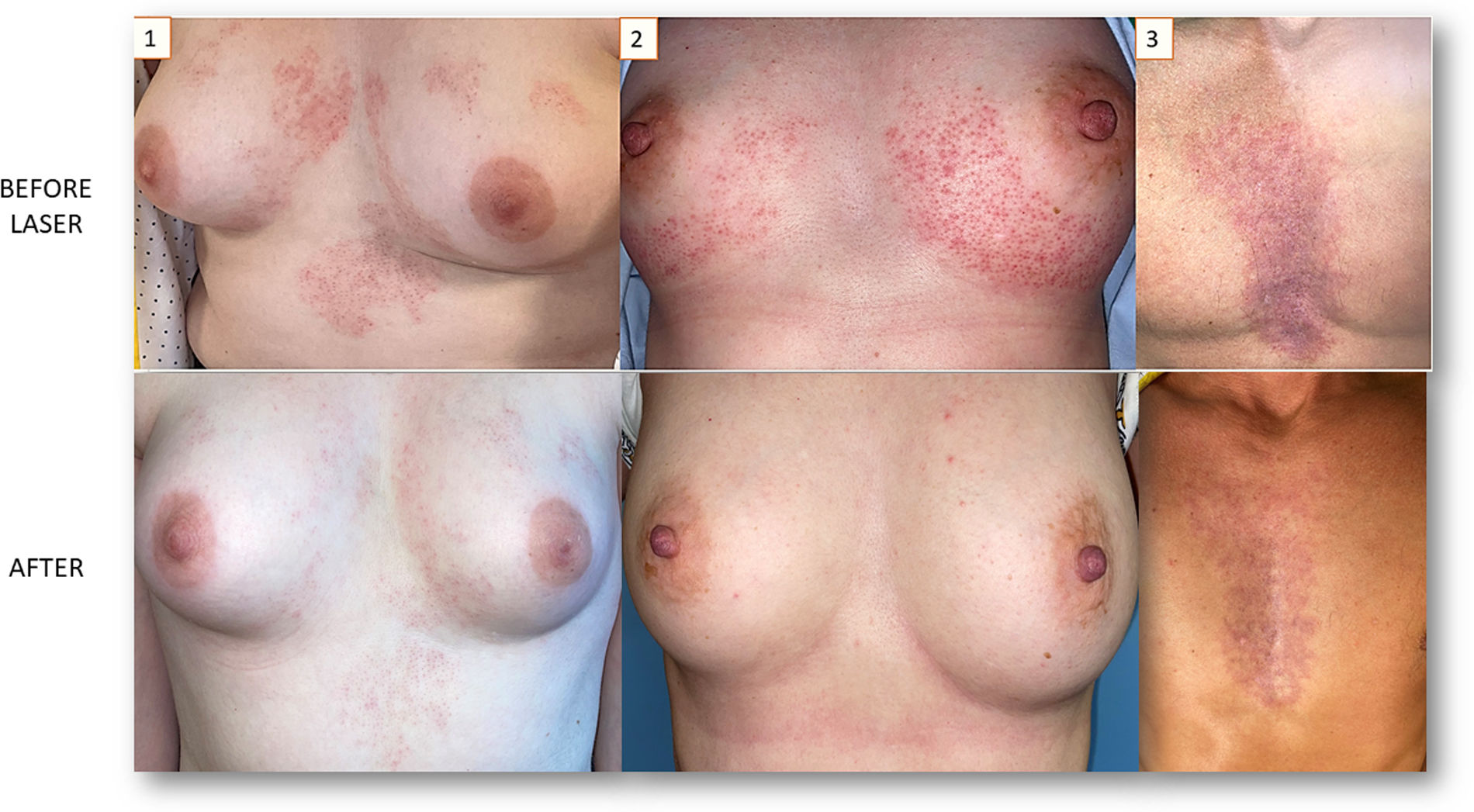 fig0005