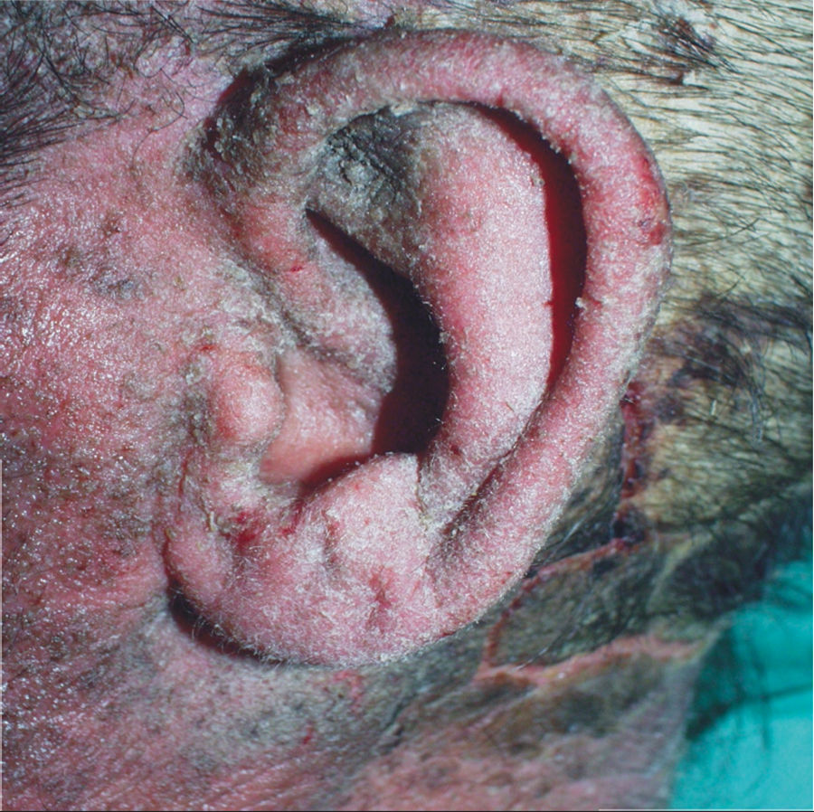 fig0015
