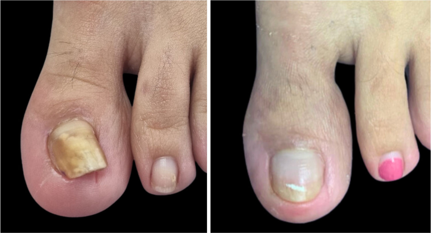 fig0015