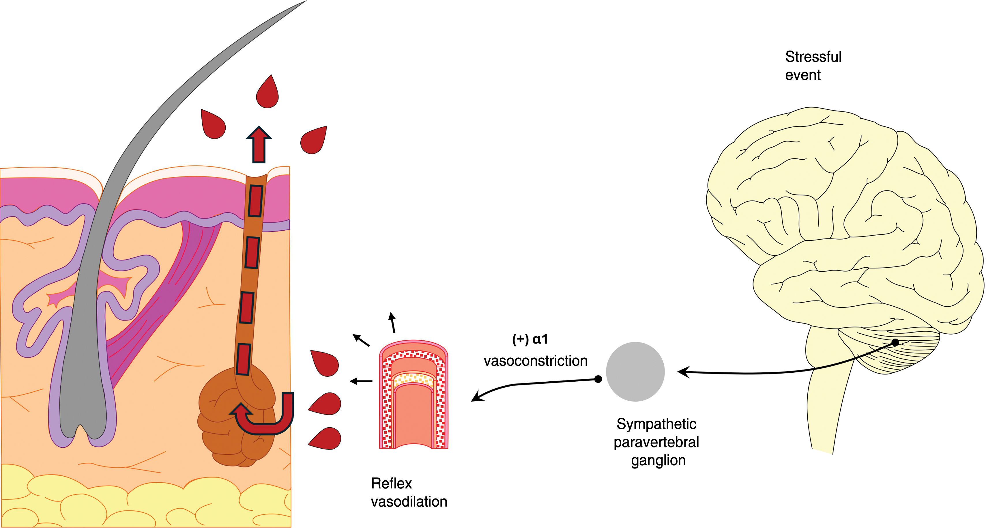 fig0015