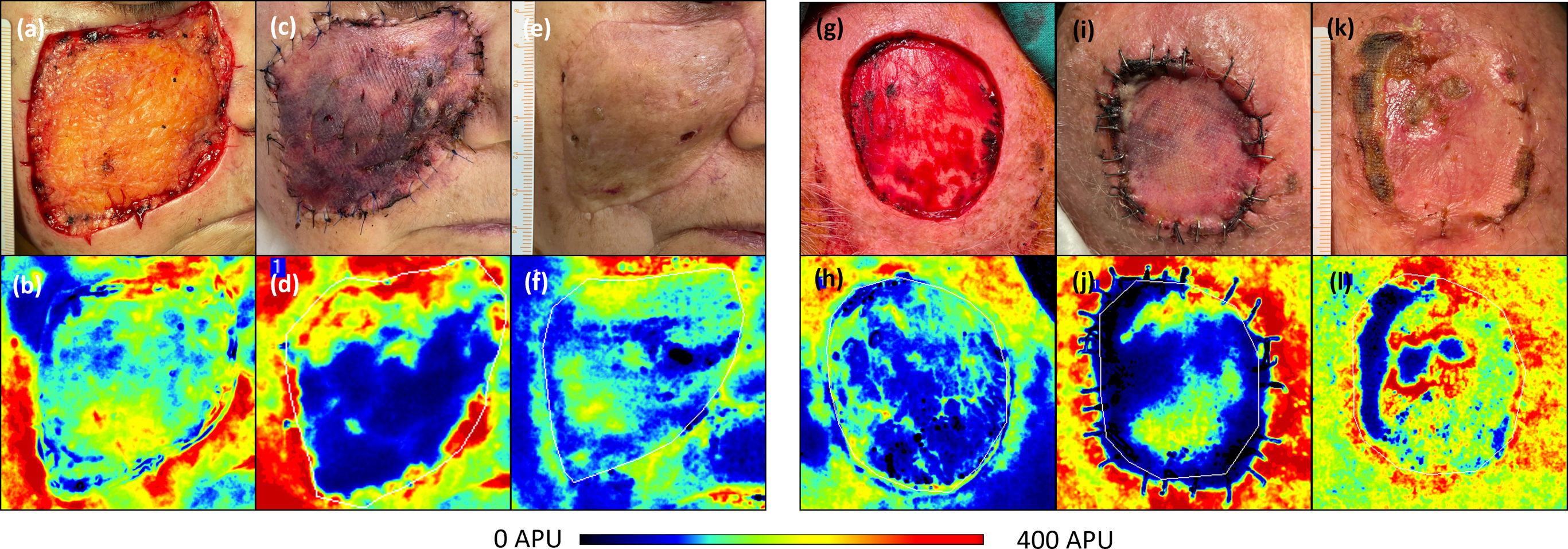 fig0005