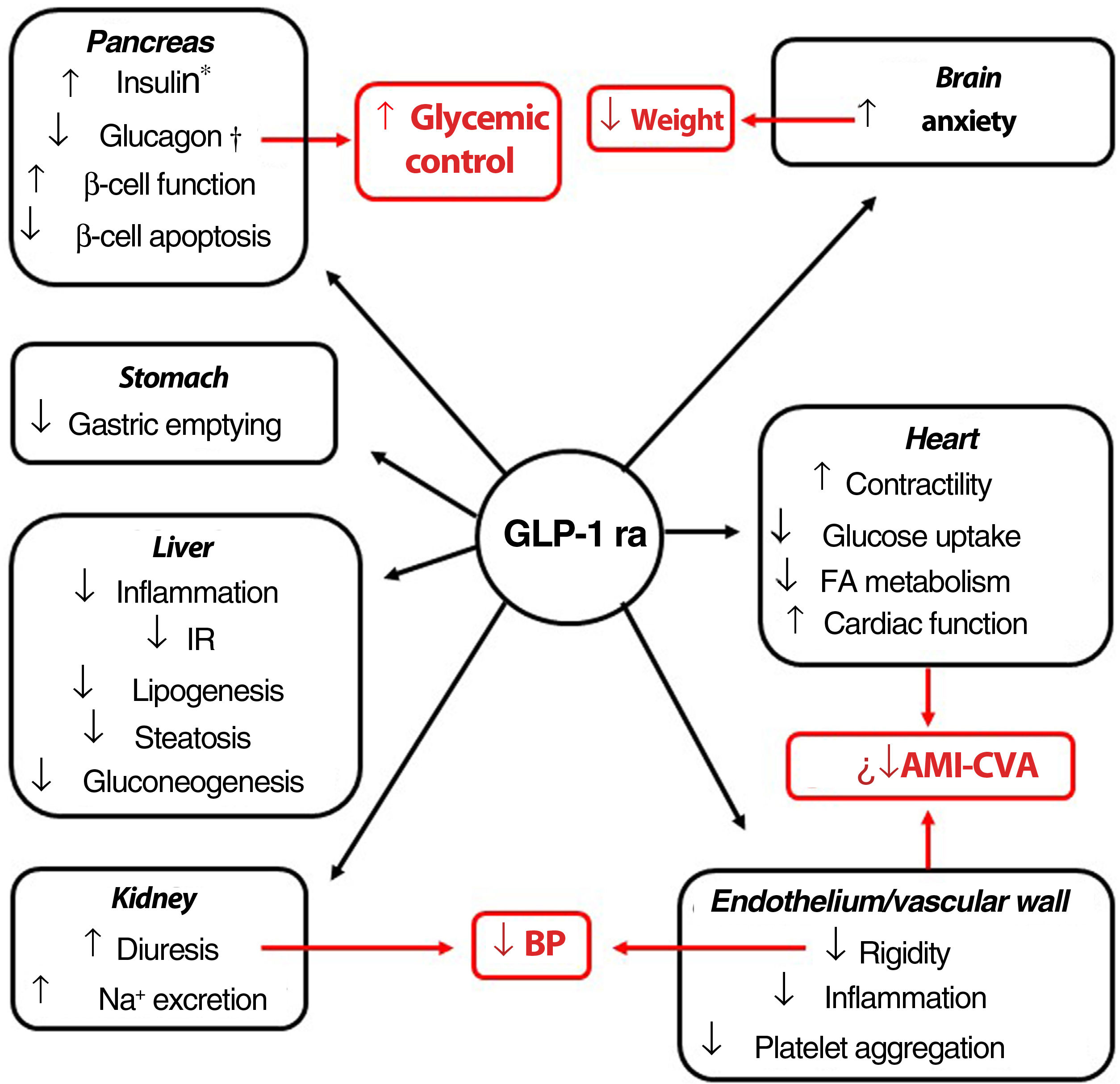 Stunning Glp 1 Receptor Agonists Insulin Sensitivity image