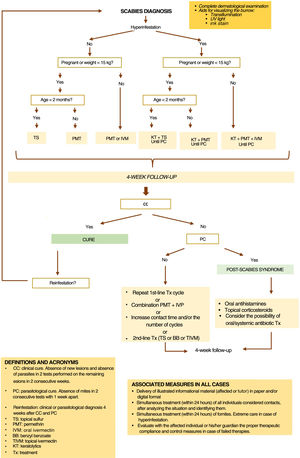 Therapeutic algorithm of scabies.