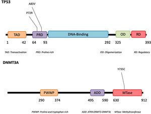 Mutations found by NGS in SPTCL.