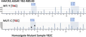 Representative pyrograms of HAVCR2 that detect Y82C mutation.