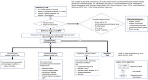 Clinical approach algorithm for CNP CNP, chronic nodular prurigo.