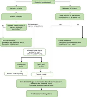 Flowchart for action in case of suspected sexual assault. Adapted from the basic guidelines of the Spanish National Health System for the management of sexual violence.7.