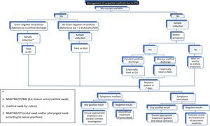 Algorithm on the management of suspected urethritis cases due to STIs. CT: Chlamydia trachomatis; MG: Mycoplasma genitalium; NAAT: nucleic acid amplification test; NG: Neisseria gonorrhoeae.