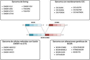 Esquema con las fusiones génicas de los sarcomas indiferenciados de células redondas pequeñas de hueso y partes blandas caracterizadas hasta la fecha. En el centro, representación de la fusión BCOR-CCNB3 presente en nuestro paciente.