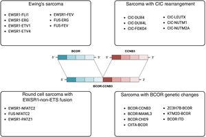 Diagram showing the gene fusions of undifferentiated small round cell sarcomas of bone and soft tissue characterized to date. In the center, representation of the BCOR-CCNB3 fusion present in our patient.3