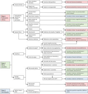 Algoritmo diagnóstico de las ictiosis congénitas. Fuente: modificado de Gutiérrez-Cerrajero C, Sprecher E, Paller AS, Akiyama M, Mazereeuw-Hautier J, Hernández-Martín A, et al. Ichthyosis. Nat Rev Dis Primers. 2023;9:2. doi: 10.1038/s41572-022-00412-3.