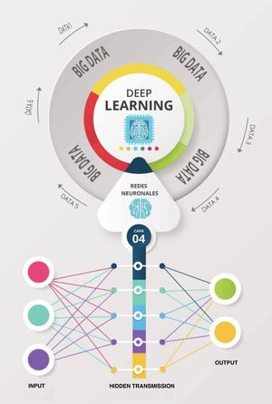 Schematic functioning of neural networks.