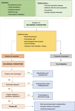 Algorithm for suspicion and management of DP.