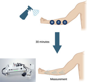 Data collection method. The study conditions were applied and left in place for 30min before measurements of the different skin barrier function variables were obtained using the multiprobe adapter (MPA) equipment. P, plant-based repellent (citronella essential oil); S, synthetic repellent (Relec Extra Strength insect repellent); W, water control.