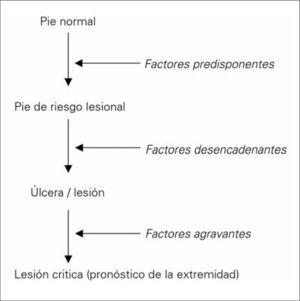 Fisiopatología de la úlcera del pie diabético.