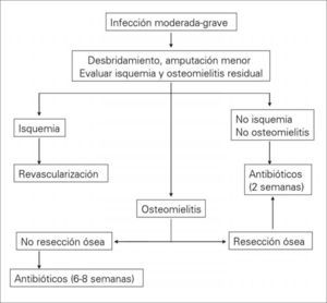 Conducta terapéutica en las infecciones moderadas-graves.