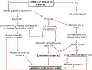 Recogida de muestra en las infecciones del pie del diabético. Fuente: SPILF102.