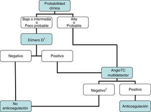 Angio-TC multidetector: algoritmo diagnóstico para el paciente ambulatorio estable hemodinámicamente.