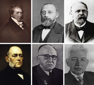 Pioneros de la arteriosclerosis/aterosclerosis (1829-1924). Arriba, de izquierda a derecha: Johann F. Lobstein (alemán), Rudolf Virchow (alemán), y Felix J. Marchand (franco-alemán); abajo: Karl Rokitansky (checo), Nicolai N. Anichkov (ruso) y Karl A. Aschoff (alemán).