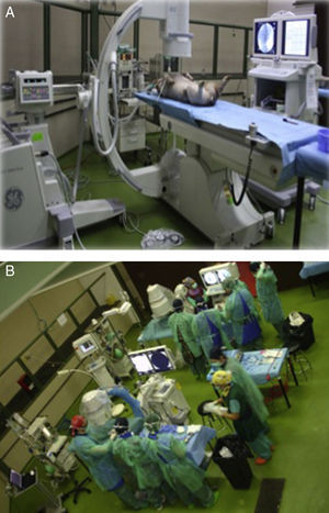 A) Modelo porcino de cirugía endovascular. B) Quirófanos 1 y 2.