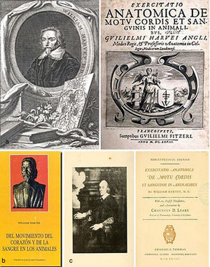 a) De Motu Cordis, nombre abreviado con el que se conoce la obra de Harvey publicada en latín en 1628, que revolucionó la medicina de su tiempo, que en este artículo se considera como De Motu Sanguinis; b) Primera traducción al español publicada en 1936, basada en la obra original y en la traducción al inglés, y c) Traducción al inglés de la obra original en latín publicada en 1928. Esta edición contiene las dos versiones. Disponible en: https://archive.org/details/exercitatioanato00harv Fuente: elaboración propia.