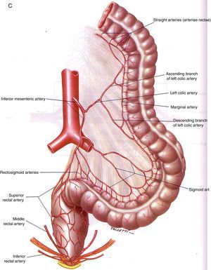 Anatomía vascular de los troncos digestivos y sus ramas colaterales. A) Tronco celíaco y sus ramas digestivas. B) Arteria mesentérica superior y circulación anastomótica intestinal. C) Arteria mesentérica inferior y colaterales.Fuente: Atlas of Vascular Anatomy. Uflacker R, editor. Baltimore, EE. UU.; Williams & Wilkins: 1997.