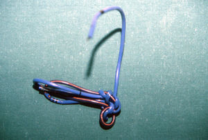 Figura 3