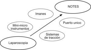 Desarrollo de la cirugía mínimamente invasiva y tecnologías puente.
