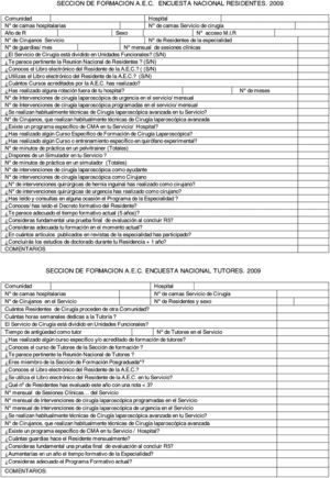 Formato de las encuestas.
