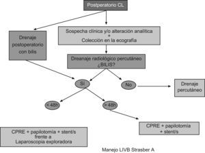 Manejo LIVB Strasberg A.