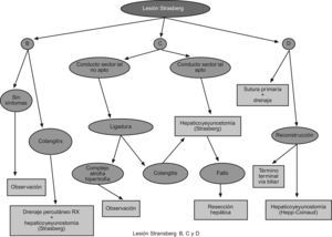 Lesiones Strasberg B, C y D.