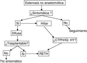 Algoritmo terapéutico de manejo de las estenosis no anastomóticas en el Hospital Universitario de Bellvitge.