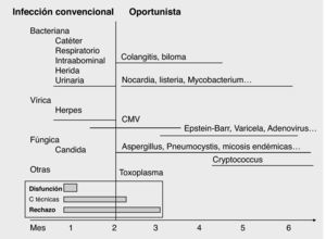 Cronología de las infecciones del paciente con TH.