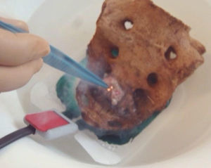 Electrocoagulación indirecta in vitro.