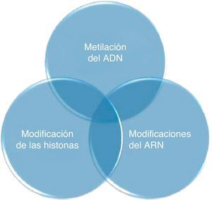 Interrelación de los procesos celulares que constituyen el código epigenético. En el cambio de la expresión genética, las modificaciones del ATN incluyen el RNA de interferencia y los micro-RNA.