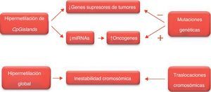 Resultados biológicos de la hipermetilación de las CpG islands y de la hipometilación global.