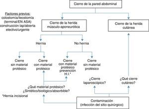 Visión general de los diferentes factores implicados en el cierre de la pared abdominal por la que emerge una ostomía temporal.