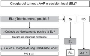 Amputación abdominoperineal vs. resección local en el tratamiento quirúrgico del melanoma anorrectal. Algoritmo terapéutico.AAP: amputación abdominoperineal; EL: escisión local; RL: recurrencia local.