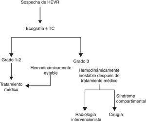 Protocolo de diagnóstico y tratamiento del HEVR.