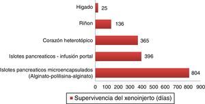 Supervivencias más largas de xenoinjertos porcinos en primates no humanos. Islotes pancreáticos microencapsulados de cerdos no modificados lograron sobrevivir 804 días con retrasplante y 250 días sin un nuevo trasplante72. Islotes pancreáticos de cerdos hCD46 sobrevivieron 396 días en babuinos61. Corazones heterotópicos de cerdos GTKO/hCD46/hTBM lograron una supervivencia de más de un año23. Riñones de cerdos GTKO/CD46/CD55/TBM/EPCR/CD39 lograron una supervivencia de 136 días con una creatinina estable63. Un xenoinjerto ortotópico de hígado porcino GTKO logró supervivencia de 25 días en un babuino con administración continua de factores de coagulación exógenos postrasplante66.