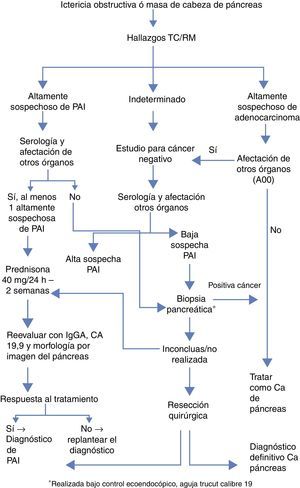Algoritmo diagnóstico simplificado de la Clínica Mayo para diferenciar adenocarcinoma de páncreas vs. PAI4.