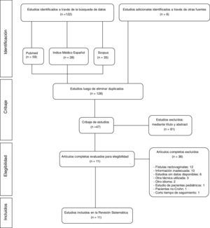 Diagrama de flujo en el que se muestran los estudios incluidos en la revisión sistemática.