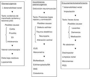 Algoritmo diagnóstico-terapéutico en distintos escenarios clínicos. BA: agentes aumentadores de volumen; EUS: ecografía endoanal; PEG: polietilenglicol; SNS: neuromodulación de raíces sacras. Adaptada de Shah et al.27, con autorización.