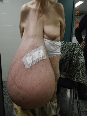 Figura 1