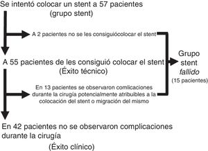 Resultados de los intentos de colocación de los stents y subgrupos.