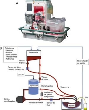 A) Máquina de perfusión normotérmica (MPN) OrganOx metra®. B) Esquema del funcionamiento de la MPN.