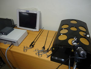 Endotrainer laparoscópico, óptica, fuente de luz e instrumental laparoscópico.