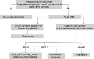 Algoritmo de manejo de las lesiones cervicales.
