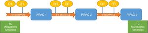 Esquema de tratamiento combinado QT y PIPAC.