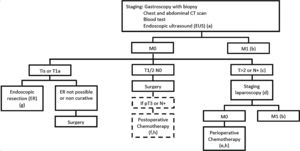 IPOLFG gastric cancer protocol (a-T1/2N0; b-palliative treatment; c-patients with haemorrhage or occlusion are selected to surgery; d-if SL contraindicated patients are selected to preop CT; e-periop CT according to MAGIC/FLOT trials; f-post op CT according to CLASSIC trial; g-successful ER: T1aM2/3+no vascular invasion+moderate/well differentiated+en-bloc removal+free margins).